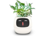 Plant through Ai, AI Pot, buy to online