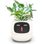 Plant through Ai, AI Pot, buy to online