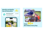 Smart Bird Camera on amazon, Amazon Product, Buy to online