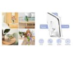 Best Flower frame, Flower Vase, Latest Amazon Prodoct