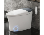 Auto Flush Smart Toilet, buy to online products, amazon