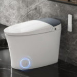 Auto Flush Smart Toilet, buy to online products, amazon